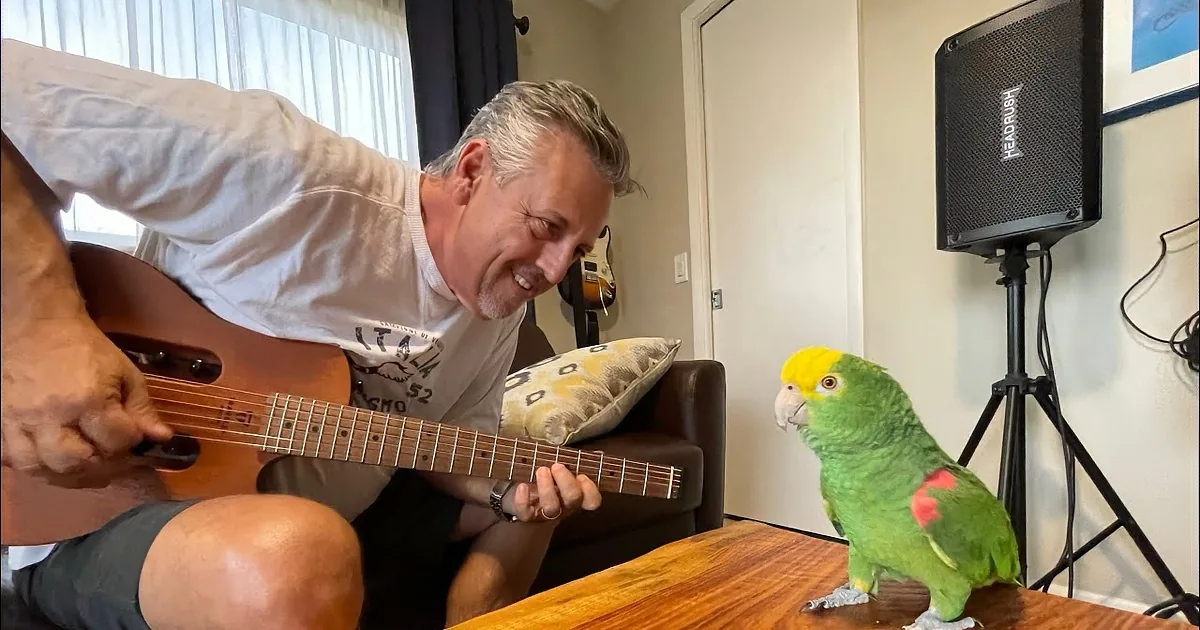 Feathered Rockstar''s Remarkable Rendition of ''Changing''