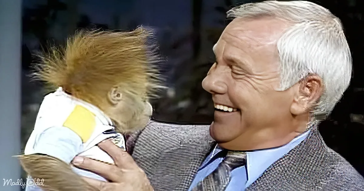 Oliver the Orangutan Steals the Show on Carson Tonight Show