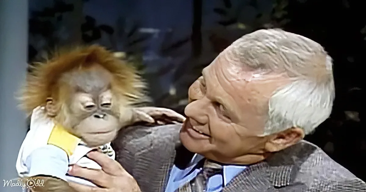 An older man with white hair smiles while holding a baby orangutan dressed in a white outfit with yellow accents.