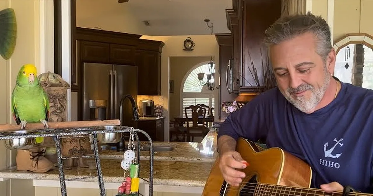 Get Serenaded by a Parrot Perfectly Crooning George Harrison''s ''My Sweet Lord''