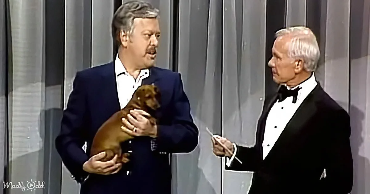 A man in a suit holds a small brown dog while another man in a tuxedo looks on.