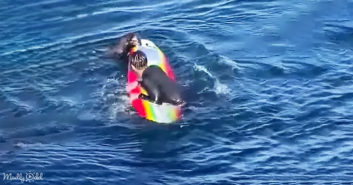 A person wearing a red and yellow wetsuit is riding a wave on a colorful surfboard in the ocean.