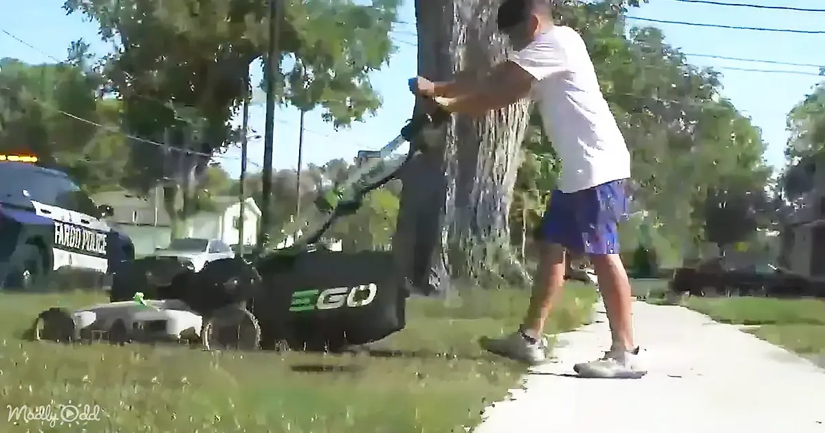 A man mows grass near a tree, with a police car and trees in the background.