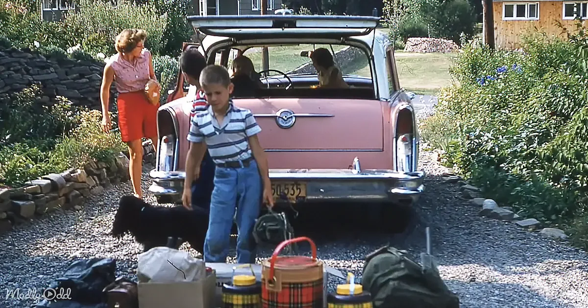 A boy stands near a pink car with luggage, surrounded by a family and a dog in a suburban driveway.