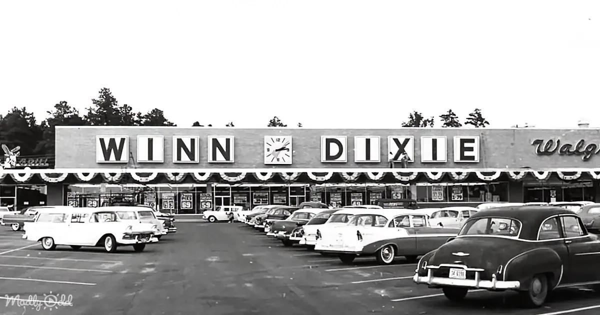A Blast From the Past: the Story of Winn-Dixie