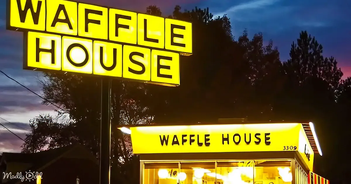A brightly lit Waffle House sign and building are illuminated against a twilight sky with trees in the background.