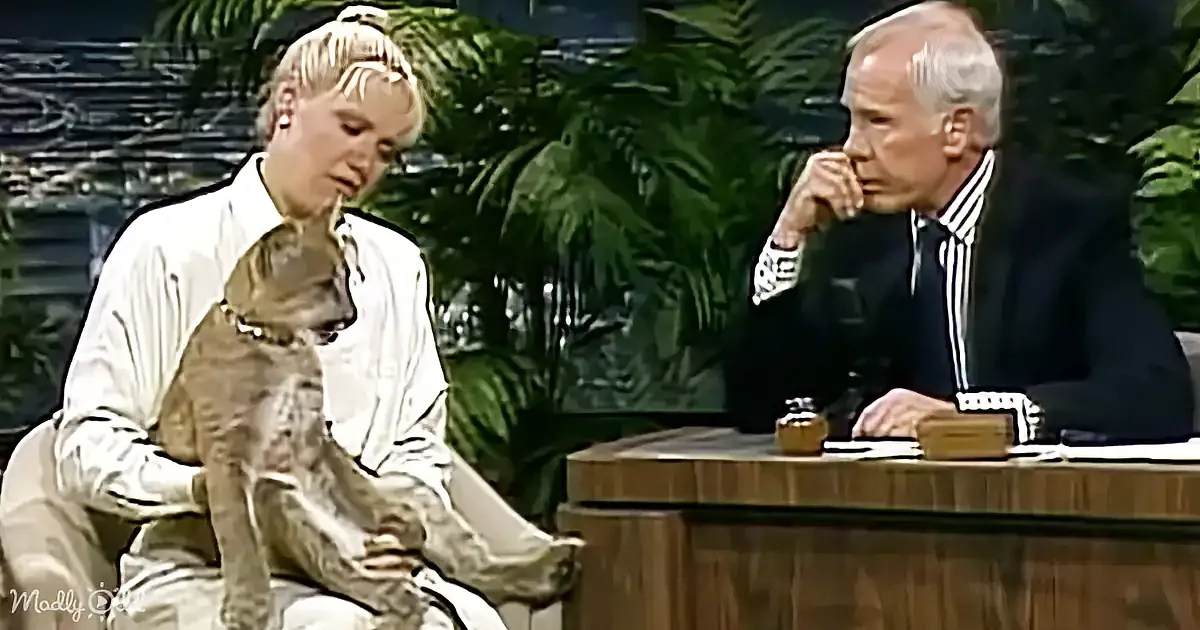 A woman holds a cat while sitting next to a man in a suit on a talk show set.