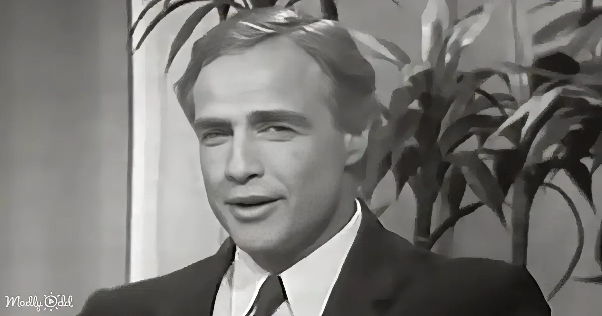 A man in a suit and tie smiles, with a plant and curtain in the background.