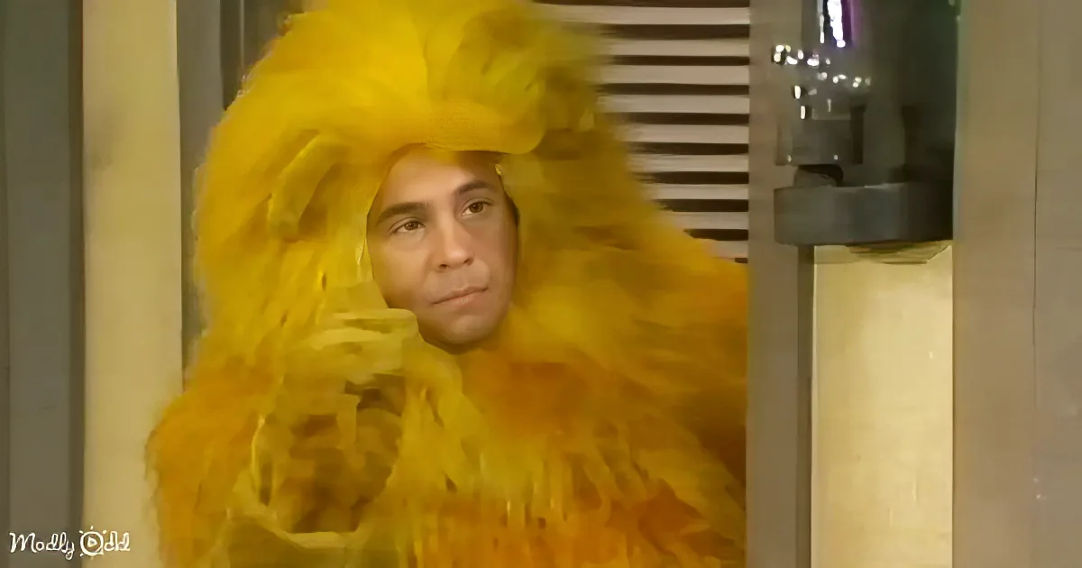 A person in a bright yellow lion costume with a fluffy mane is looking to the side.