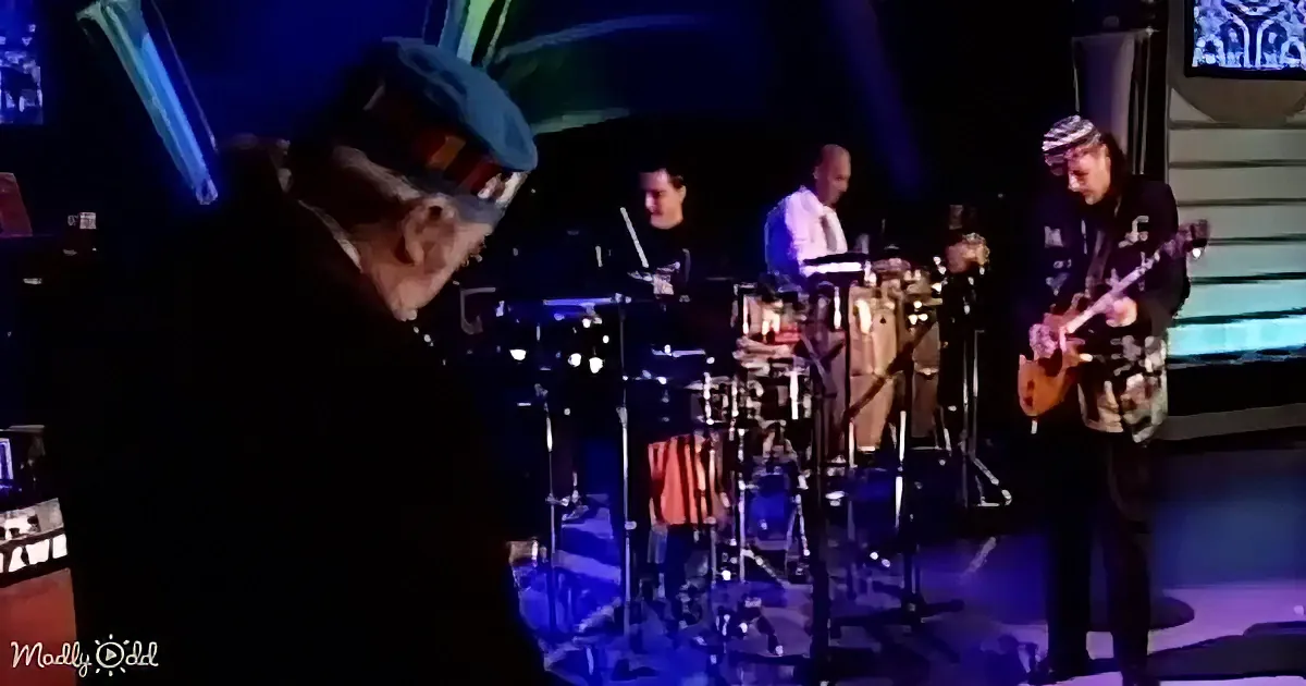 A man in a hat and dark coat is playing a musical instrument on stage with a band.