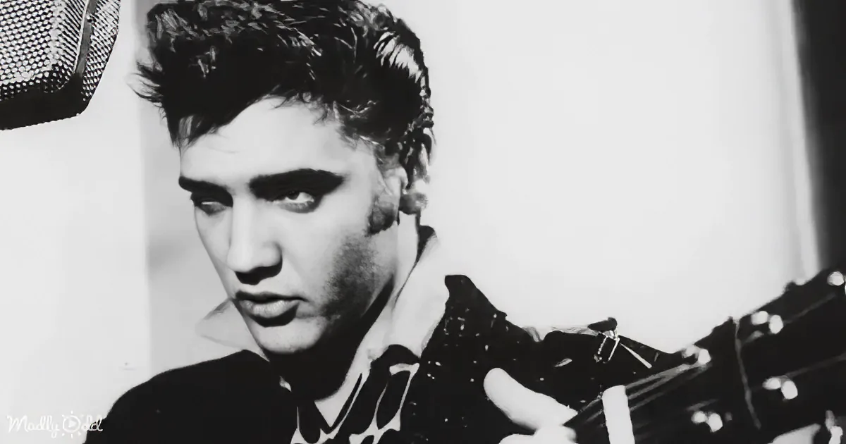 A man with dark hair and a black shirt is holding a guitar, looking to the side.