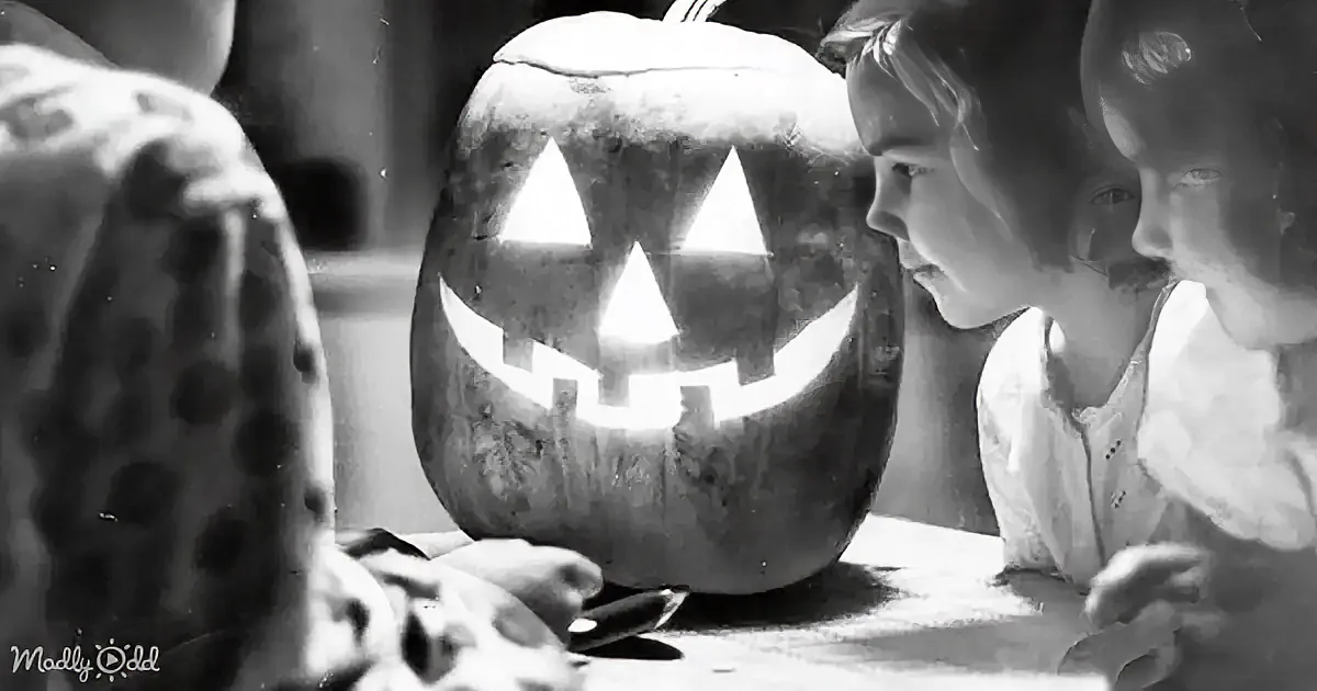 A child gazes at a carved jack-o'-lantern with a carved face, illuminated from within.