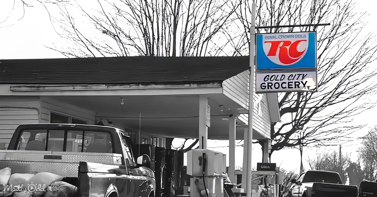 A Royal Crown Cola sign hangs above a Gold City Grocery store with a truck parked in front.