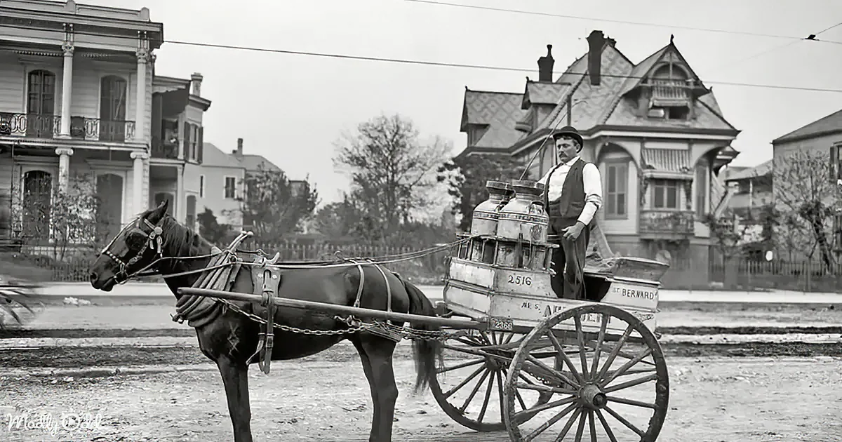 A man stands beside a horse-drawn milk delivery cart in front of Victorian-style houses.