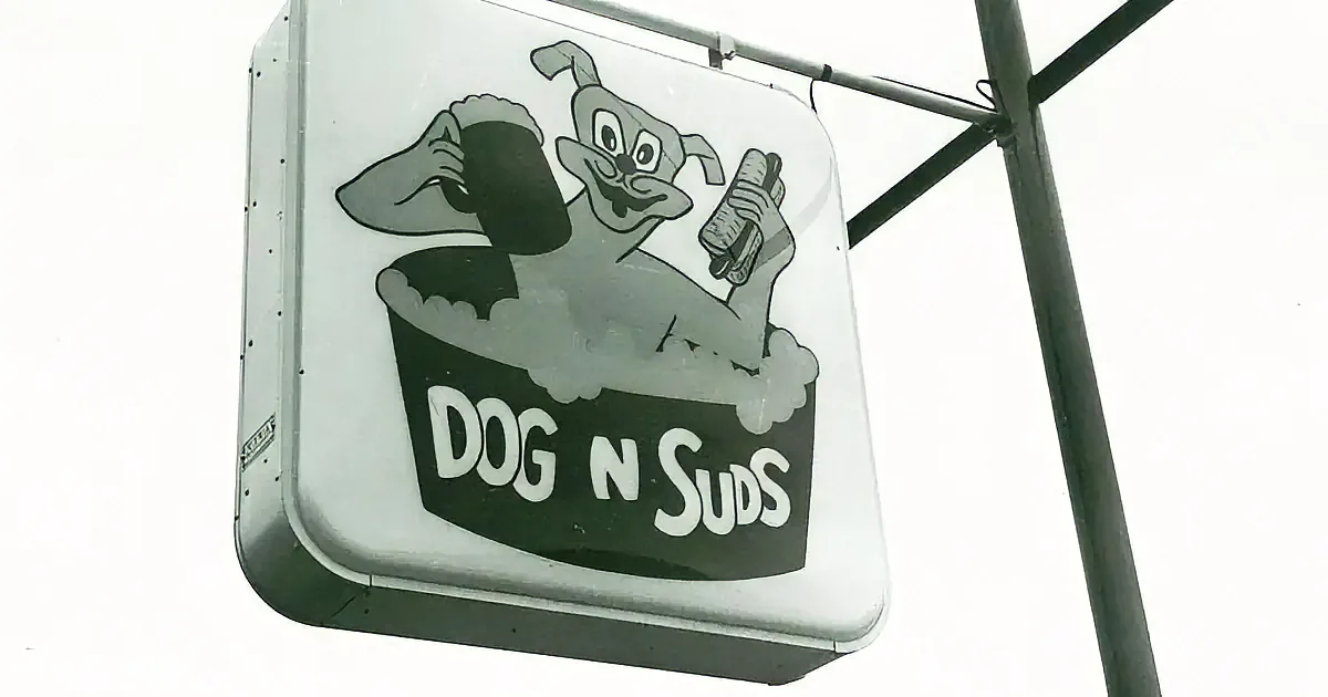 A sign with a cartoon dog in a bucket of soapy water, labeled "DOG N SUDS."