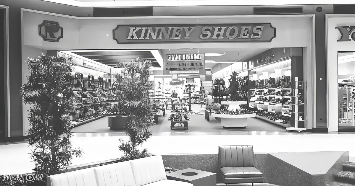 Kinney Shoes store with grand opening sign, neatly arranged shoe displays, and indoor plants.
