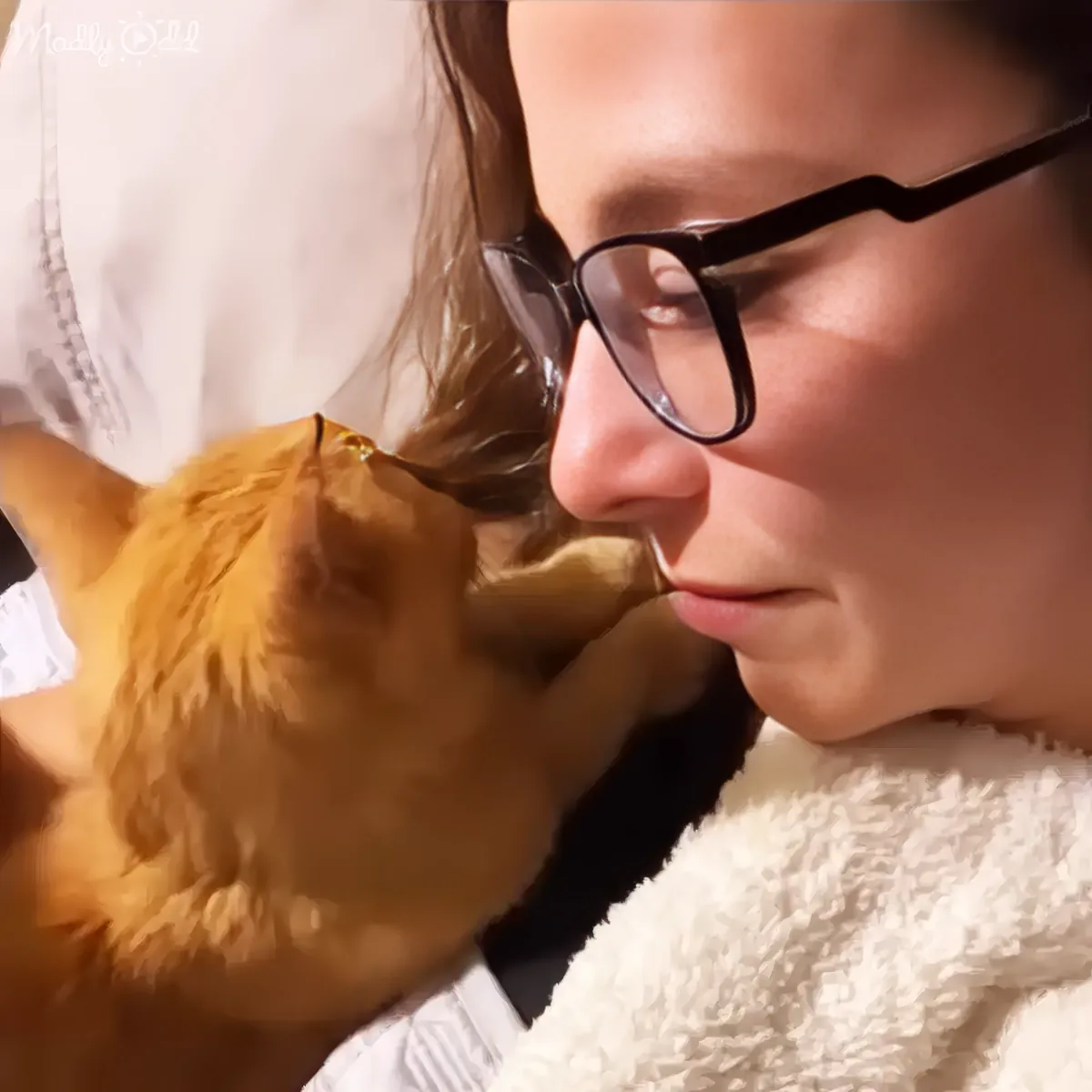 A person wearing glasses and a white coat holds a small orange kitten close to their face.