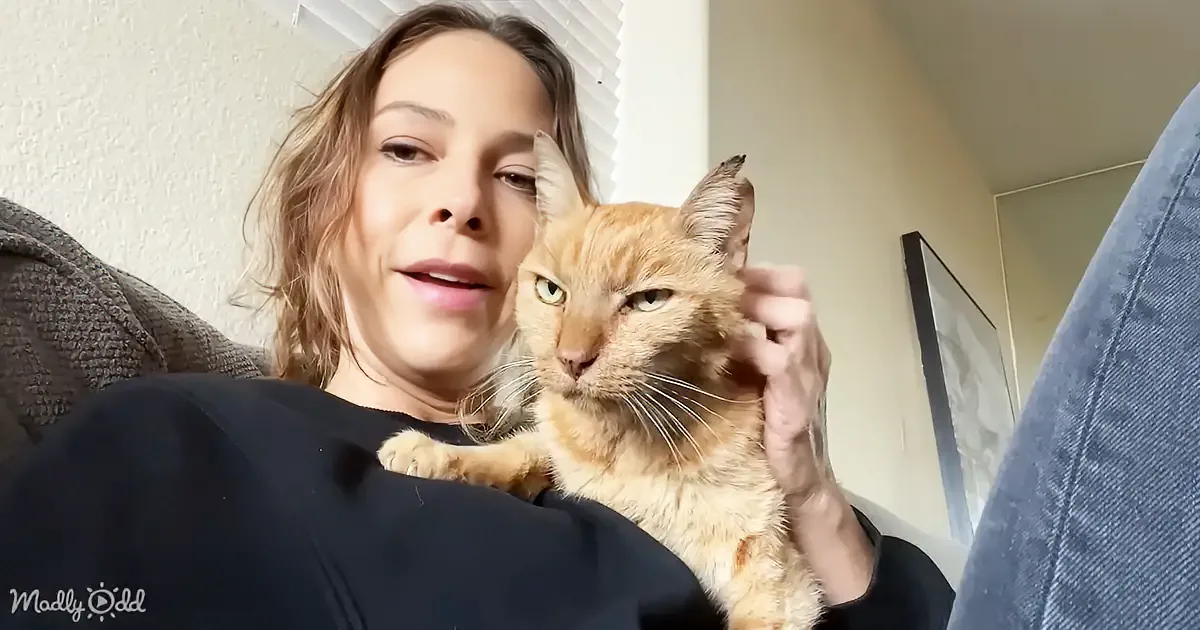 Heroic Mom Saves Senior Cat With Just Weeks to Live