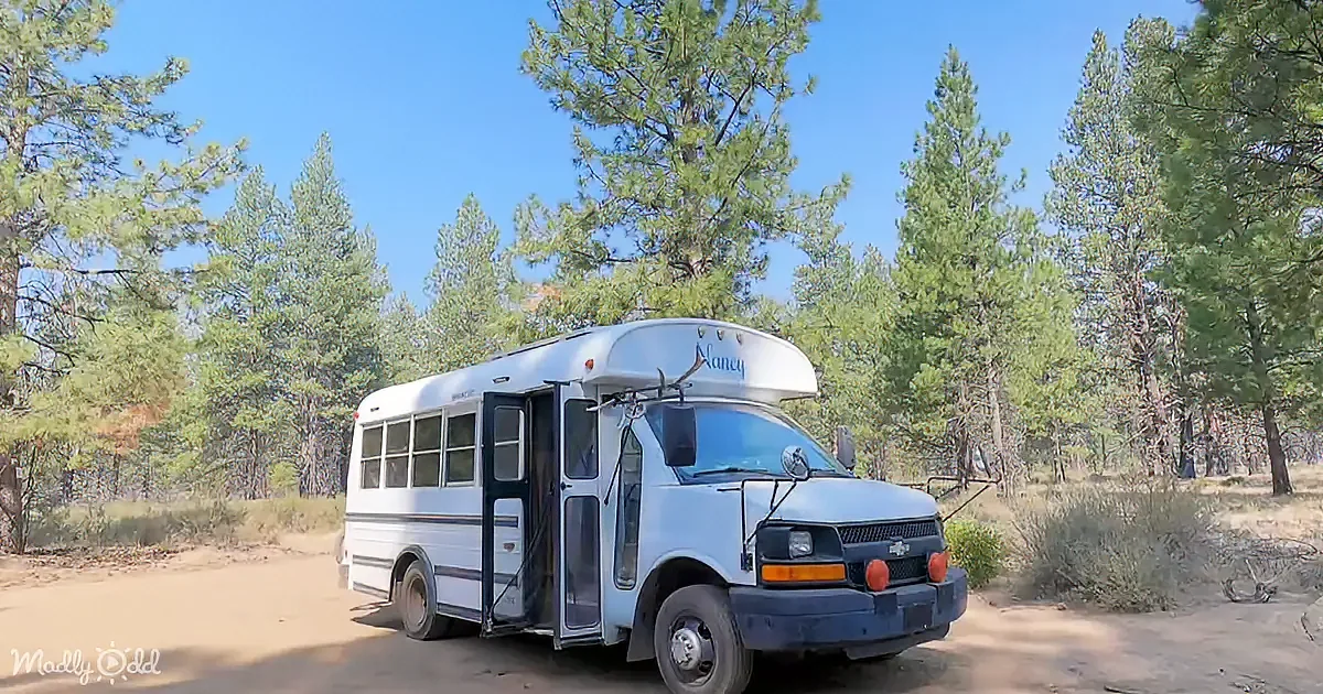 A white bus labeled "Nancy" is parked on a dirt road surrounded by tall pine trees under a clear blue sky.