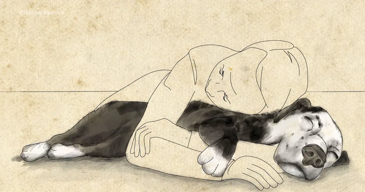 Man Given 5 Years to Live Adopts Obese Middle-Aged Dog From Shelter