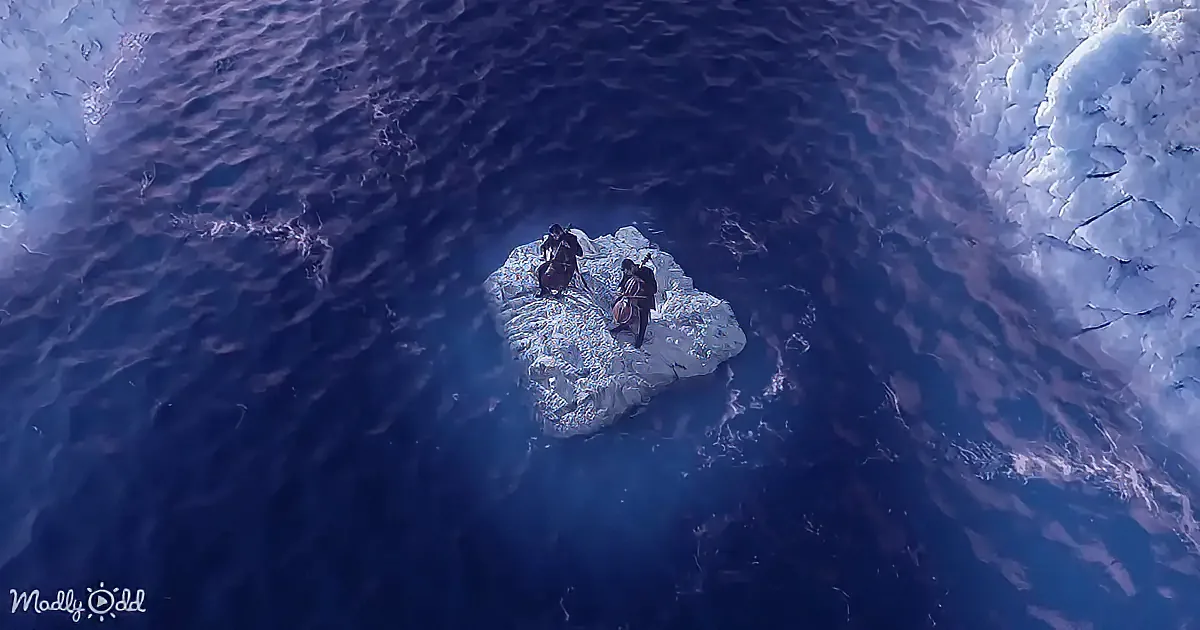 Two figures on a small ice island in the middle of a vast, dark blue ocean.