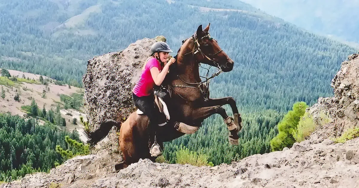A girl in a pink shirt rides a brown horse on a rocky outcrop, with a forested mountain backdrop.