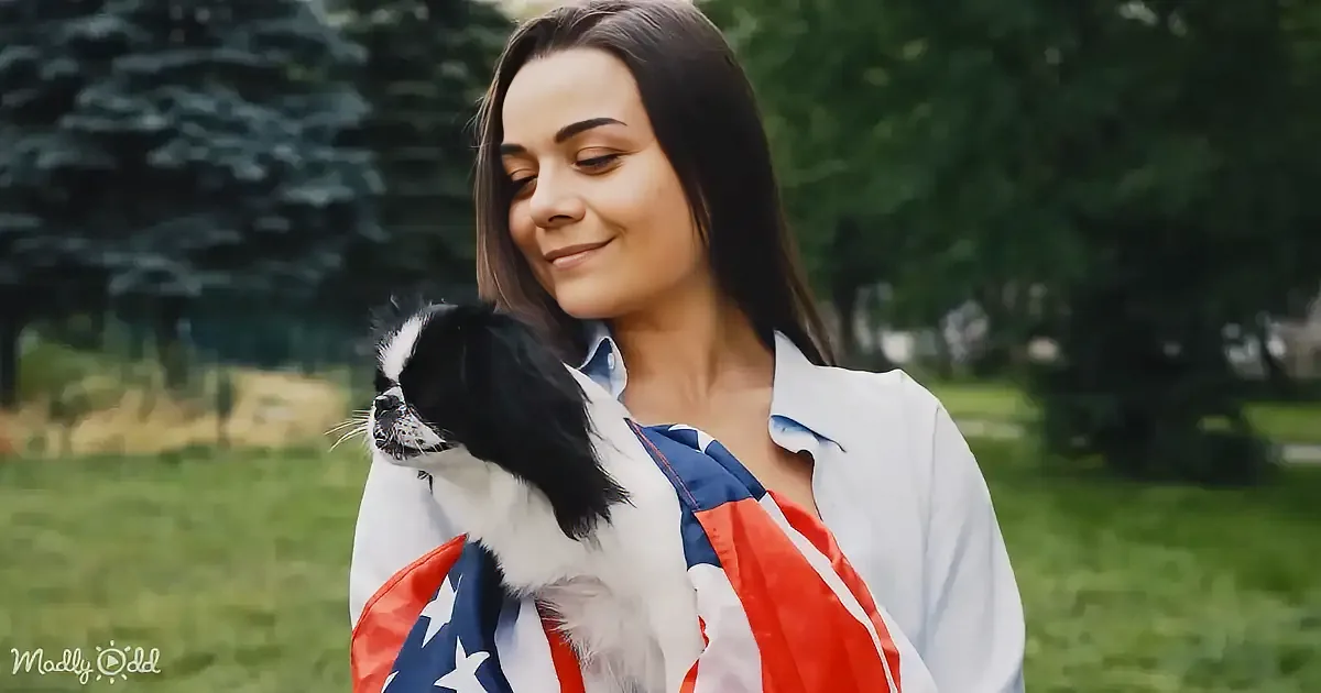 A woman holds a small dog wrapped in an American flag, smiling in a park.