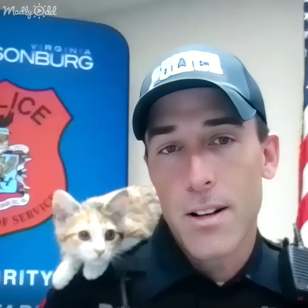 A police officer holds a fluffy kitten in front of a Virginia Police logo and an American flag.