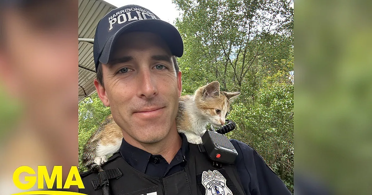 The Heartwarming Tale of a Virginia Cop and the Kitten He Couldn't Leave Behind