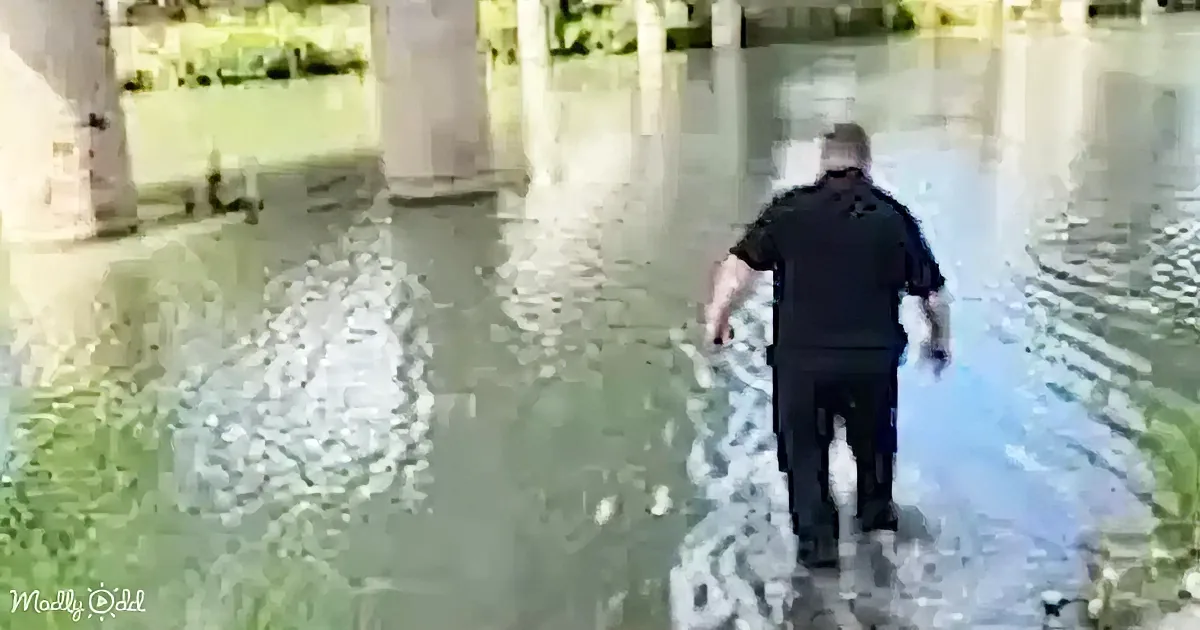 A man in a black shirt walks through floodwaters under a bridge.