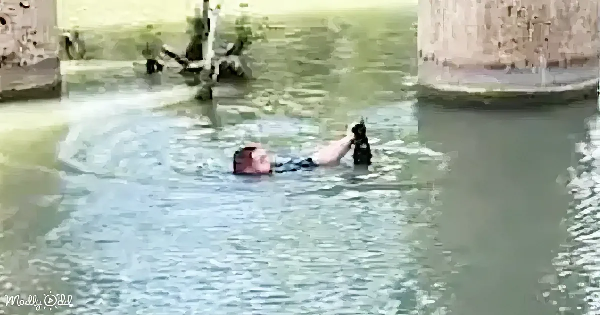 A person is swimming in a pool, holding a black object, with a tree and a stone structure in the background.