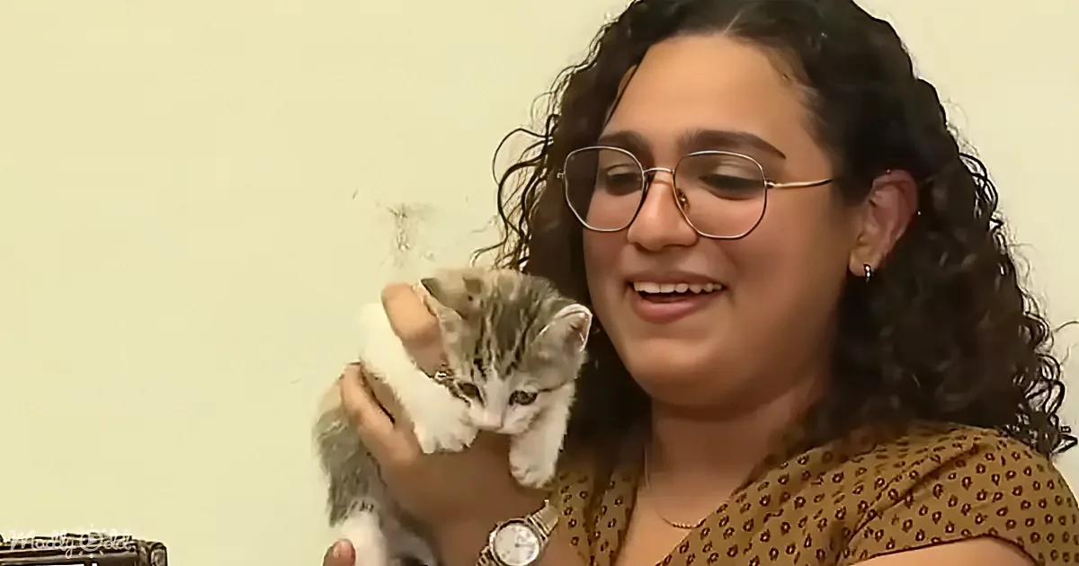 A woman with curly hair and glasses holds a small kitten, smiling.