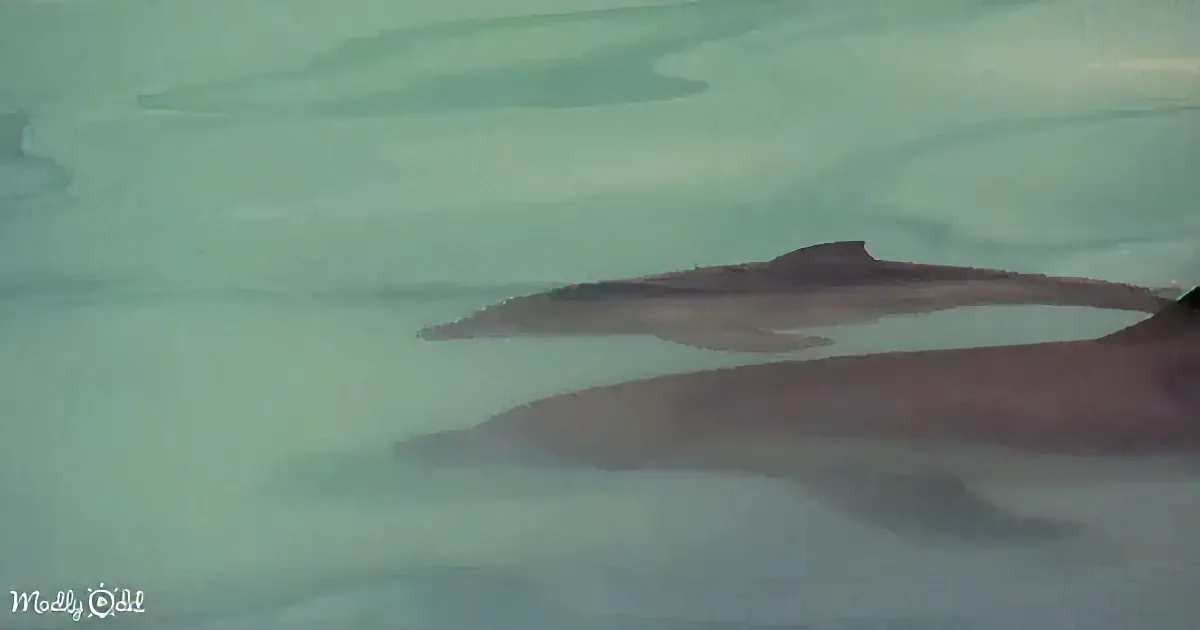 Two dolphins swim gracefully in clear, shallow water, their sleek bodies partially submerged.