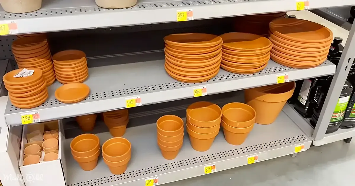 Grab a Dollar Store Pot and Nail Halloween's Most Popular Diy