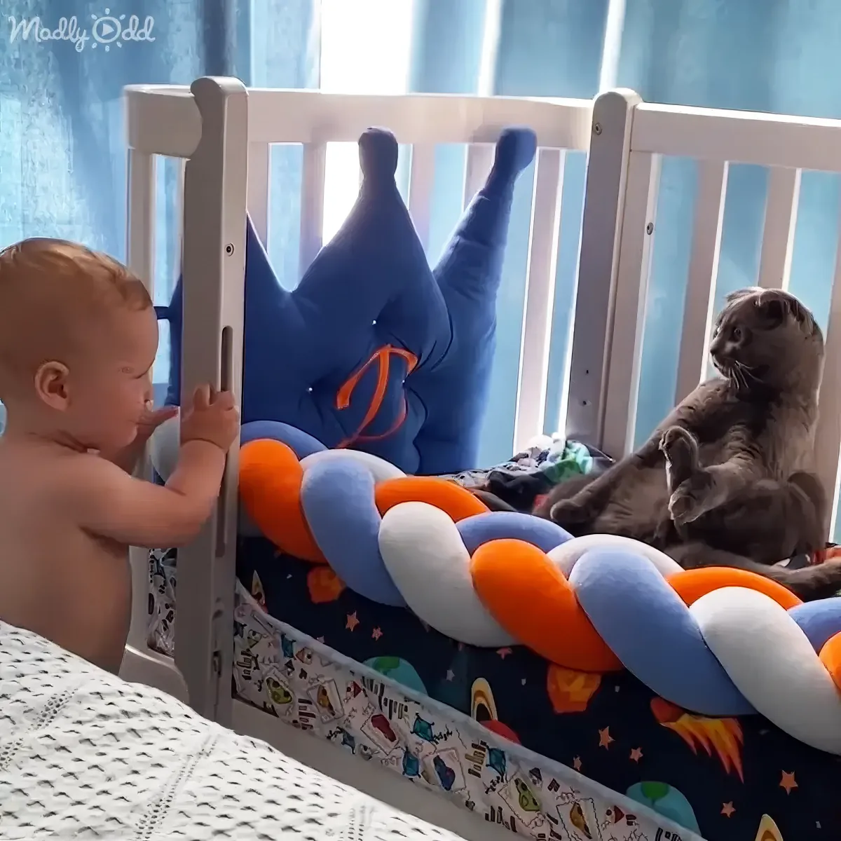 A baby leans on a crib, looking at a cat sitting on the mattress with colorful pillows.