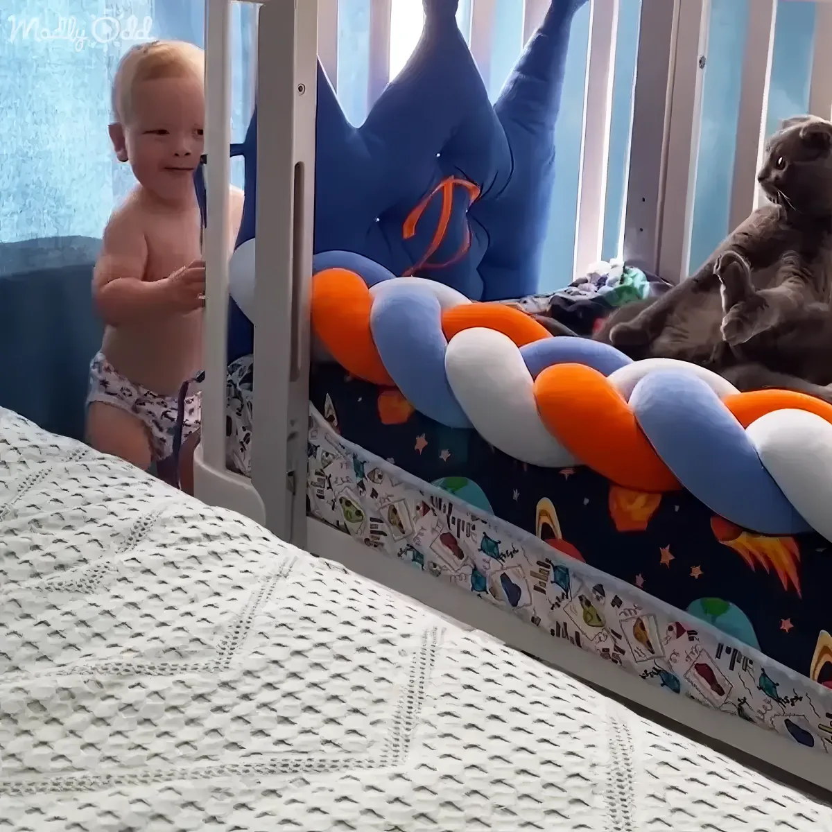 A baby stands in a crib with a cat sitting on the mattress, both looking at something off-camera.