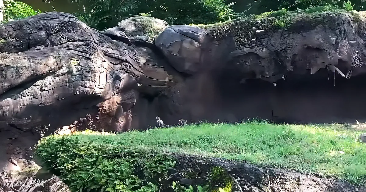 A large rock formation with a small lizard on the ground in front of it.