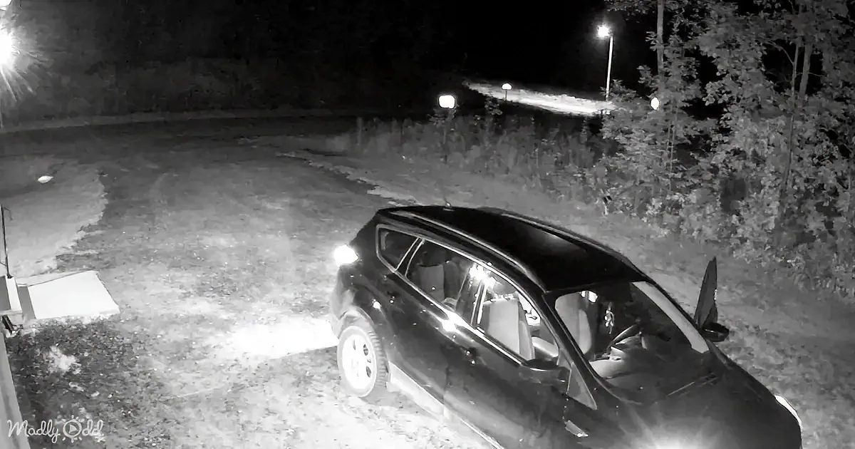 A black car with its door open is parked on a dimly lit, grassy area at night.