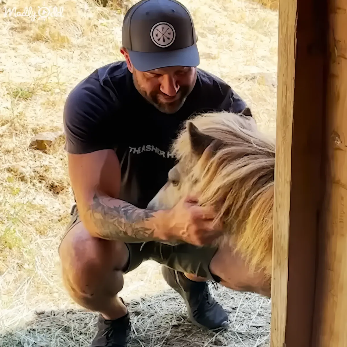 A man with tattoos and a cap is petting a small horse in a barn.