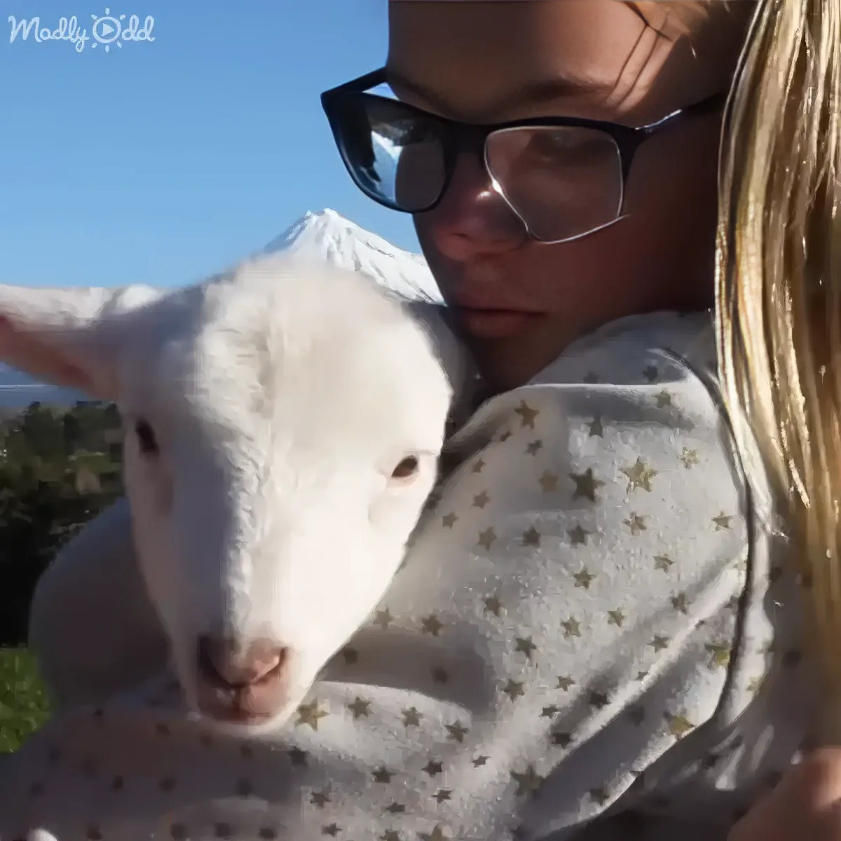 A person holds a white lamb, both looking content, with a snowy mountain in the background.