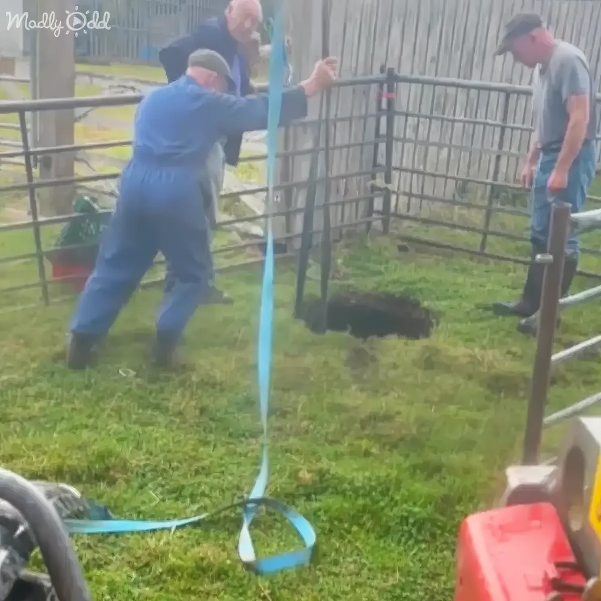 A man in blue overalls pulls a blue strap while another man in a cap looks on near a fence.