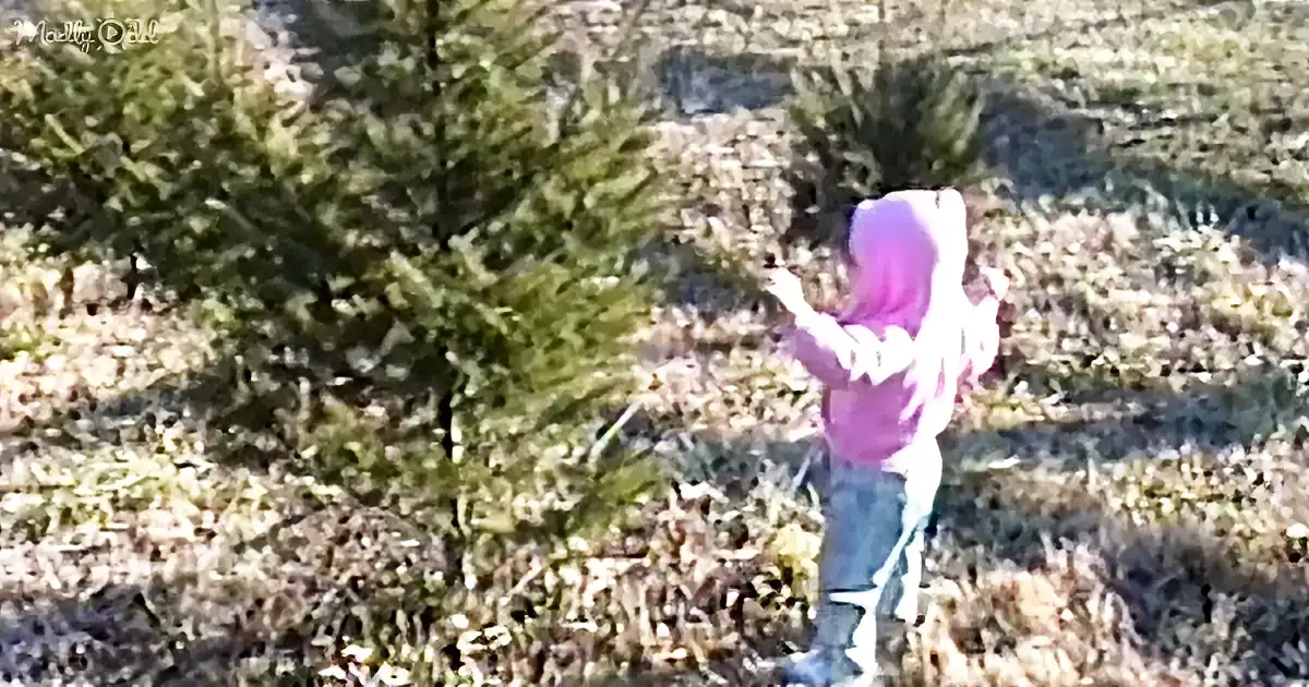 A child in a pink hoodie and jeans stands in a grassy field with trees in the background.