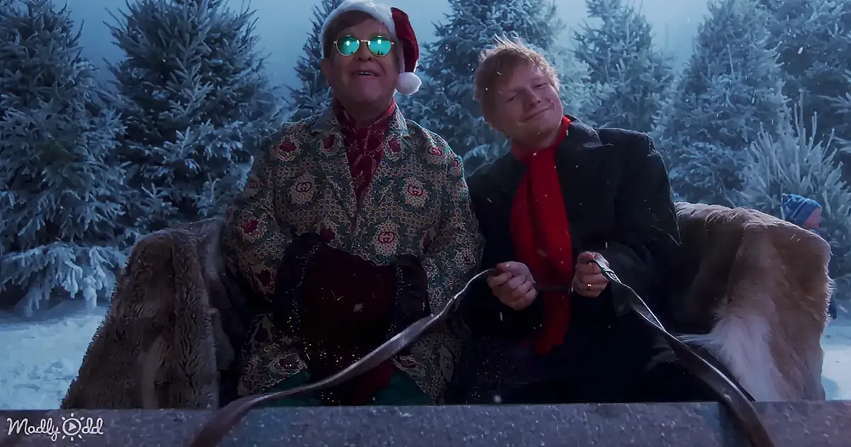 Two people in festive attire sit on a sleigh amidst snowy Christmas trees, holding reins.