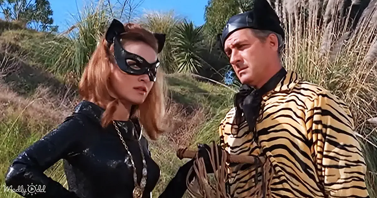 A woman in a black costume with cat ears and a man in a tiger-striped outfit stand outdoors, surrounded by grass and trees.