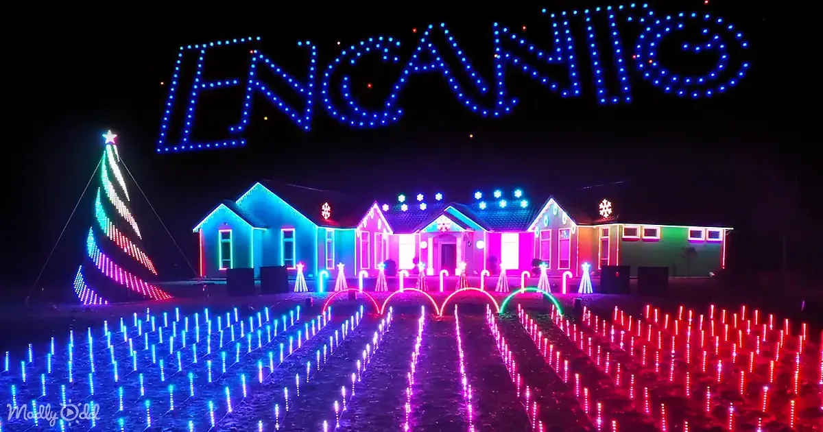 A festive scene with colorful lights illuminating a house and a Christmas tree, with "ENCANTO" displayed in blue lights...