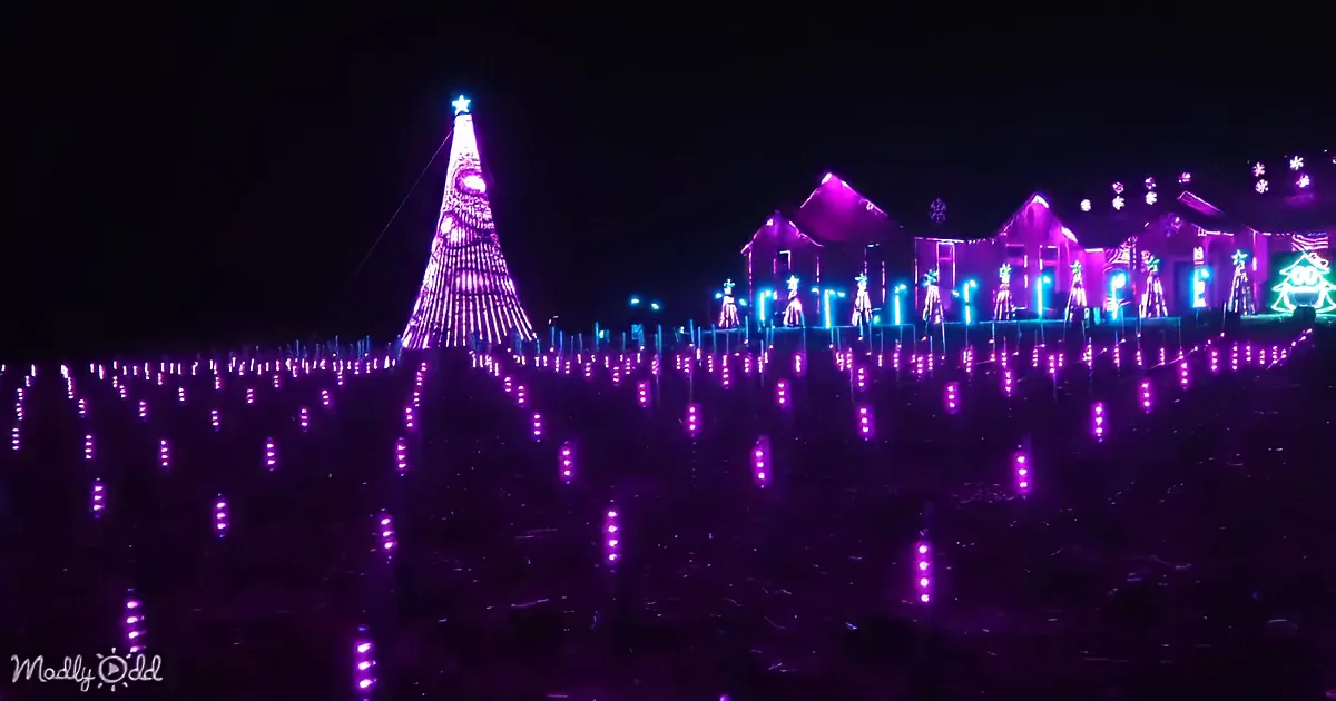 A tall, illuminated Christmas tree stands amidst a field of purple lights, with decorated houses in the background.