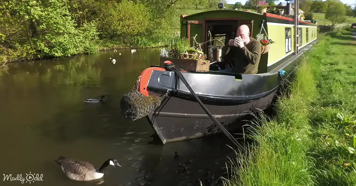 A man sits inside a green houseboat, drinking, with ducks swimming nearby on a calm canal.