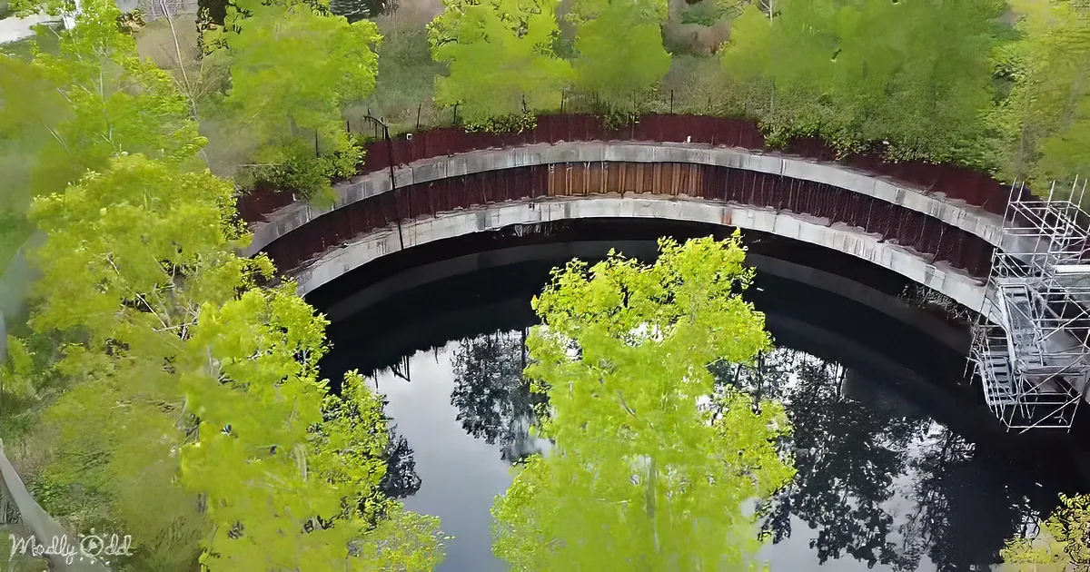 Circular concrete structure with water inside, surrounded by trees and scaffolding.