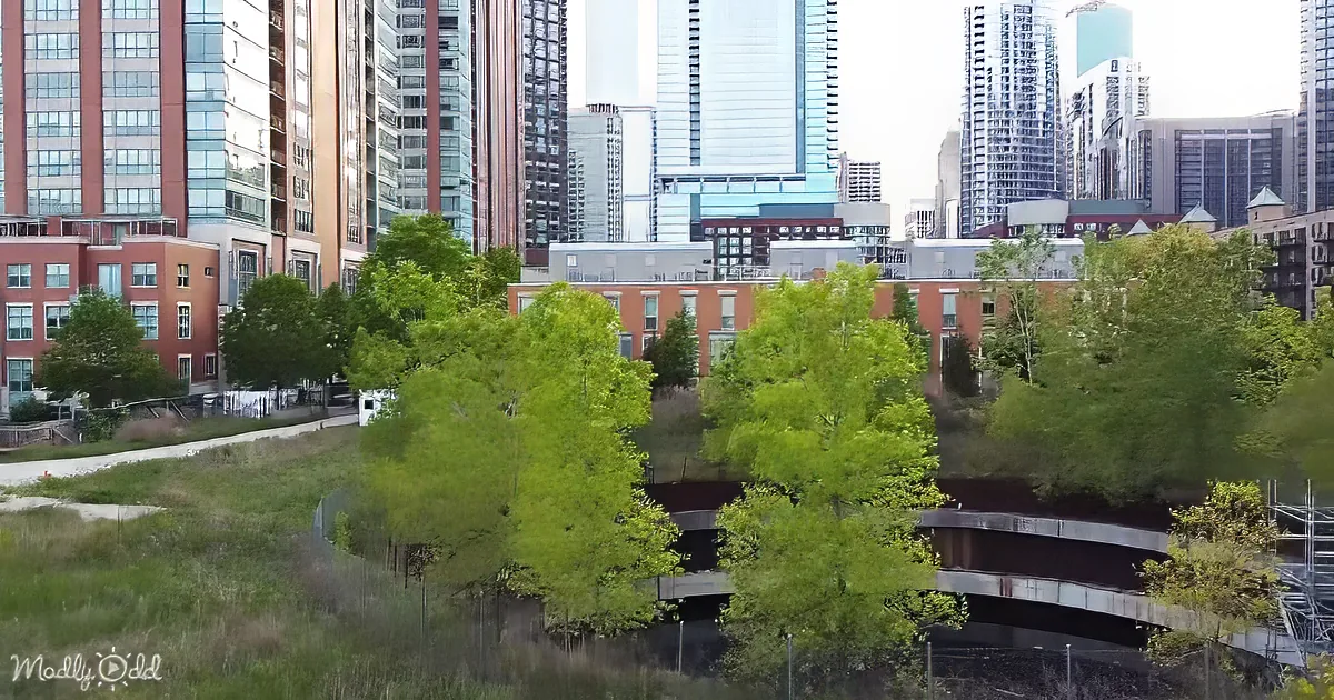 Tall buildings and green trees in an urban setting with a mix of modern and natural elements.