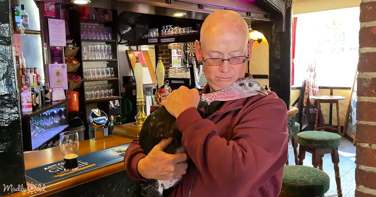 A man in a pub holds a bird, surrounded by bar equipment and sunlight.